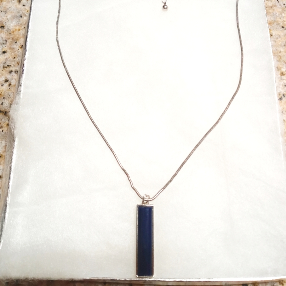 Express Silver Tone Necklace